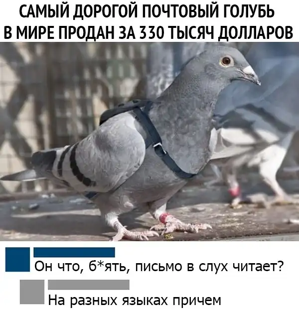 Чуток картинок