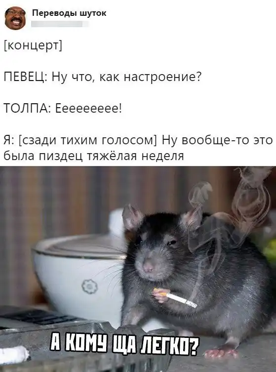 Скрины из социальных сетей