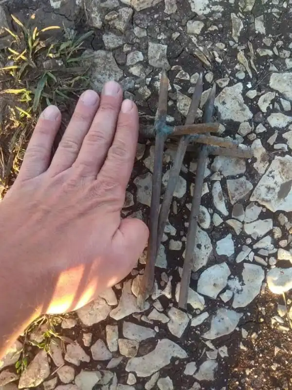 Шипы на горе Ай-Петри