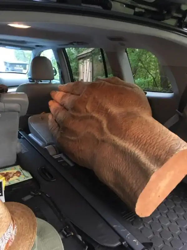 Странная находка в комиссионном магазине