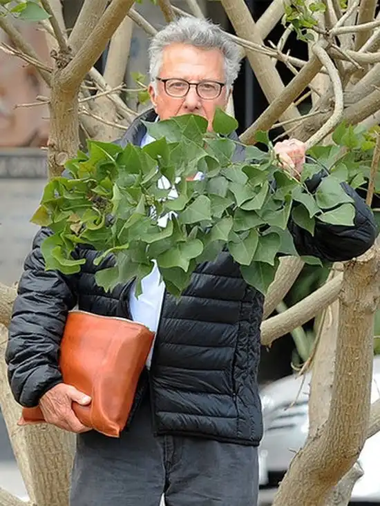 Надоедливые папарацци и методы борьбы с ними