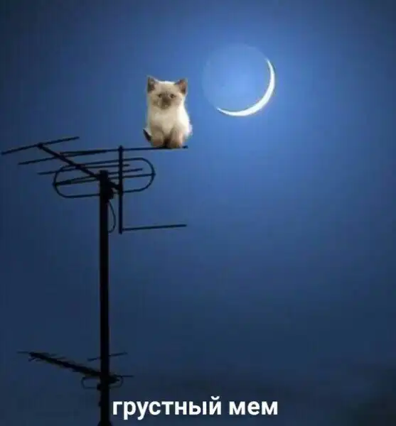 Нестандартный юмор :)