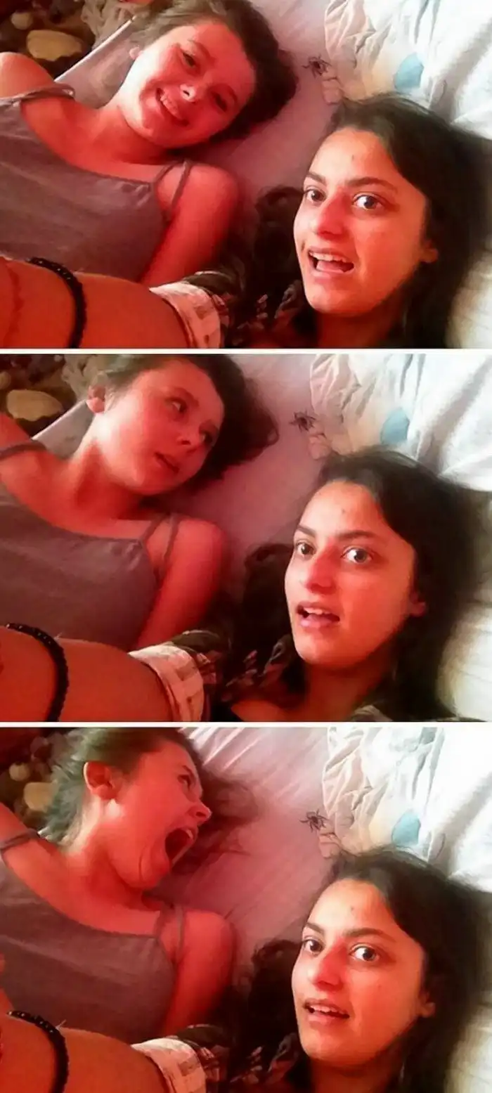 17 забавных фото, на которых все самое эпичное происходит на заднем плане