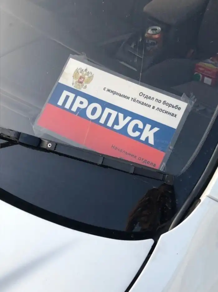 Отдел по борьбе с понтами и жирными телками в лосинах: 15 забавных пропусков на авто