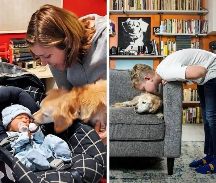 Снимки, которые стали мостом между прошлым и настоящим