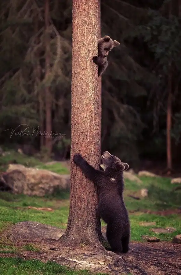 ПОДБОРКА СМЕШНЫХ, НЕ ОЧЕНЬ И ПРОСТО КРАСИВЫХ 8