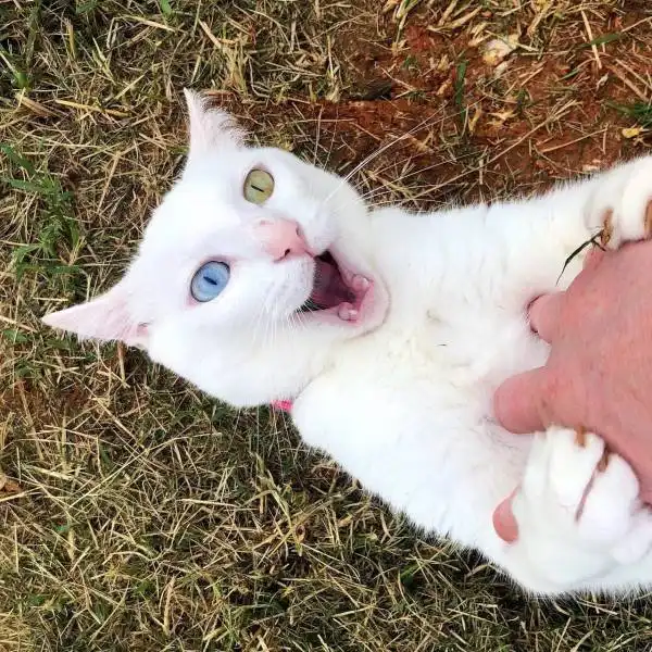 Подборка картинок