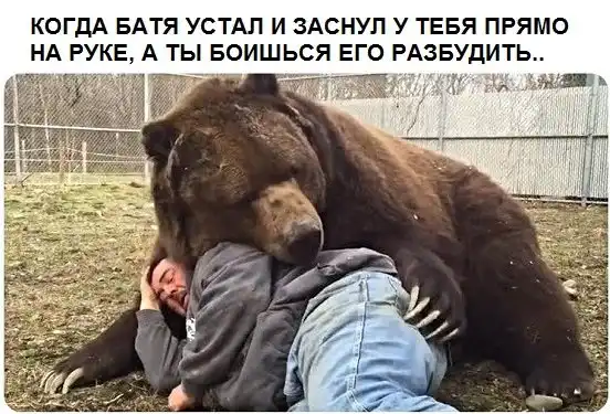 Картинки с надписями, истории и анекдоты