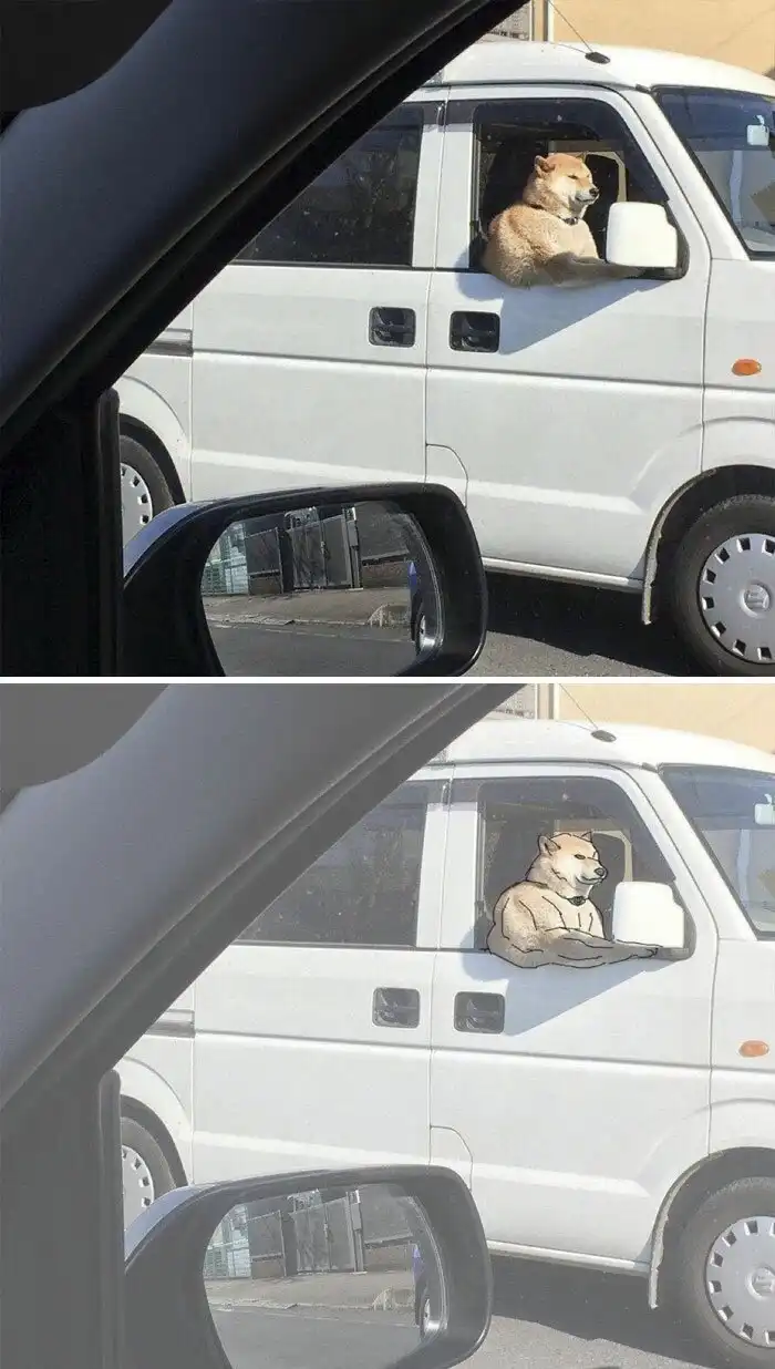 10 животных-качков из серии "Показалось"