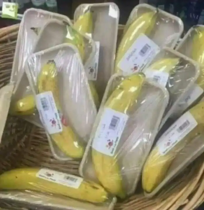 "Ну тупые!": 15 наглядных доказательств, что человеческая глупость не знает границ