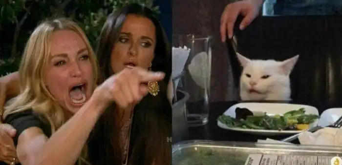 Мем с котом за столом полюбился всем, и люди нашли инстаграм пушистика