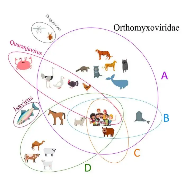 H1N1 - от испанки до наших дней: "нулевой мальчик" и пандемии.