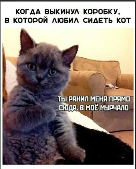 «Картинки всякие нужны, картинки всякие важны» ©