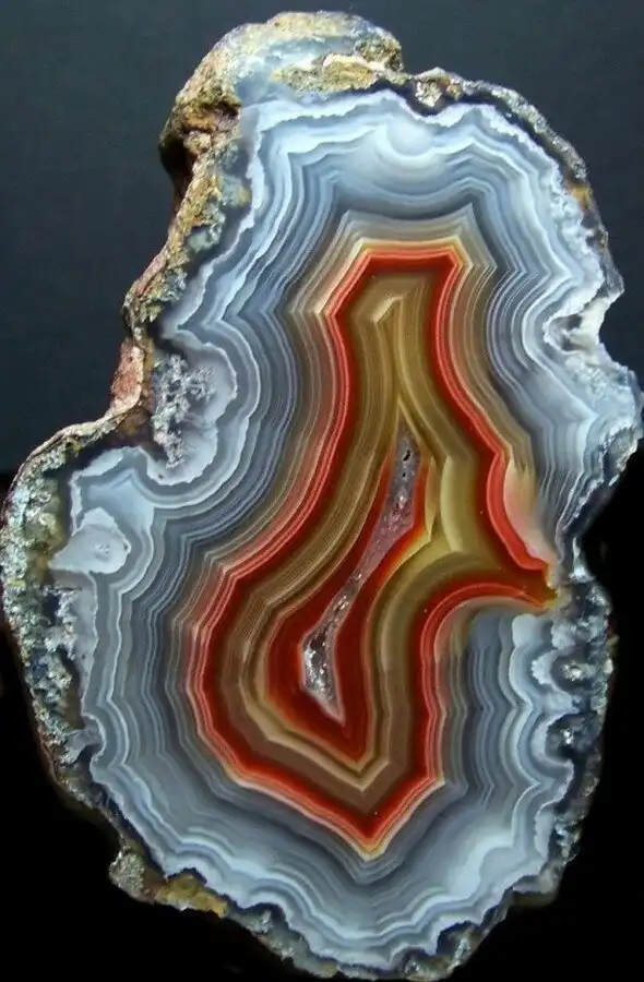 Интересные и необычные картинки с комментариями