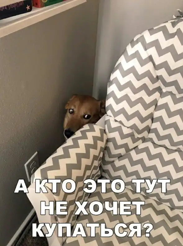 «Картинки разные нужны, картинки разные важны»