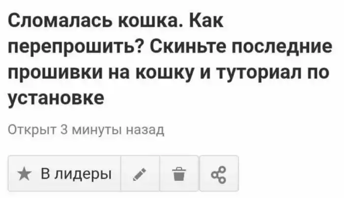 "Ну тупые!": 16 убойных запросов от пользователей Ответы Mail.ru