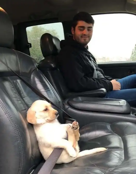 40 разных картинок