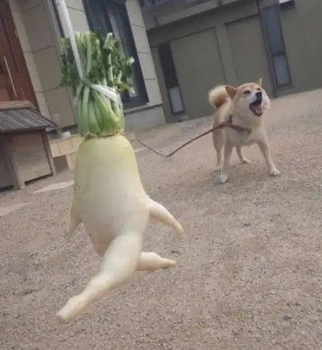 Подборка неинтересных и унылых картинок