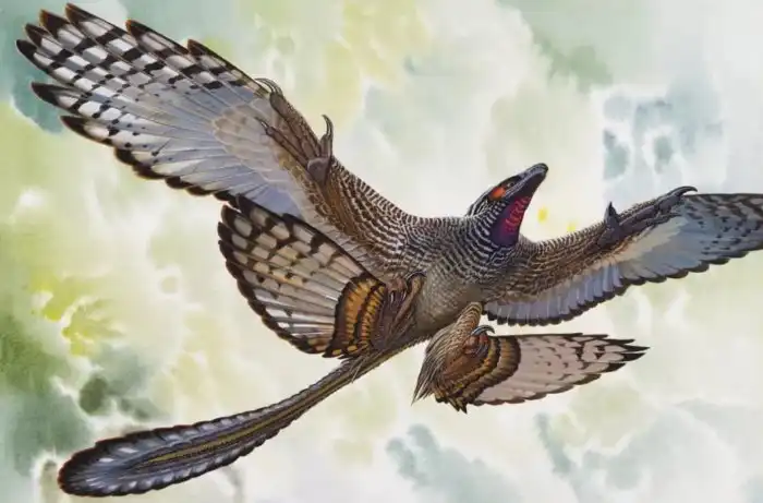 Эволюция: Почему динозавры превратились в птиц?