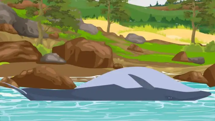 Почему мертвые киты так опасны