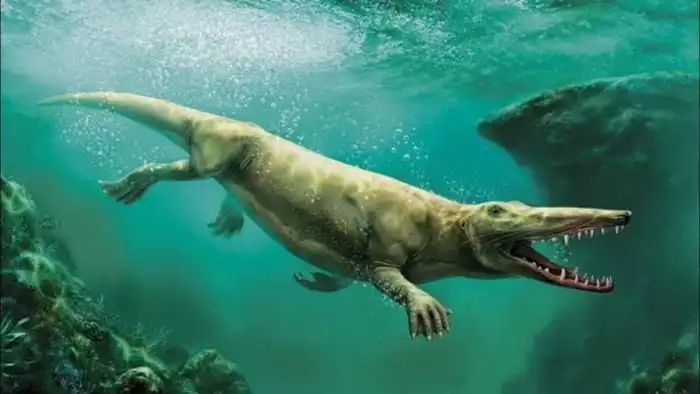 Когда киты ходили по земле