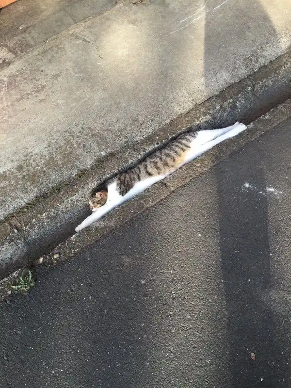 Подброка неинтересных и унылых картинок