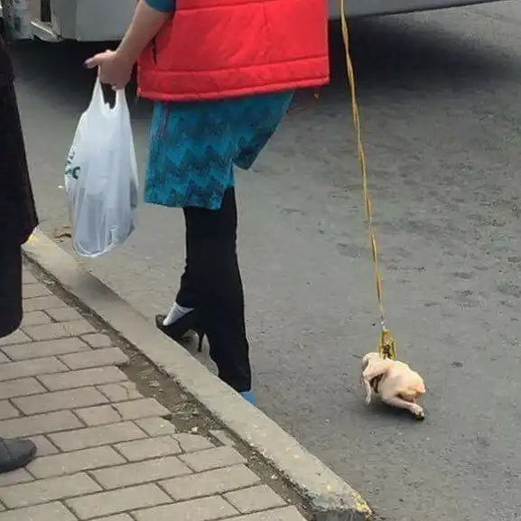 Люди из троллейбусов: смешные и странные персонажи из общественного транспорта