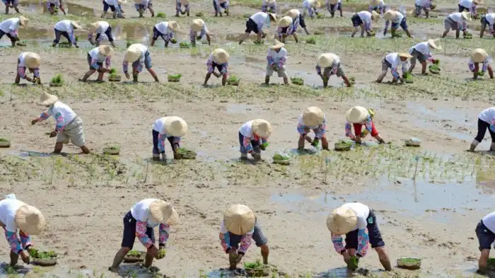 Жизнь в Древнем Китае: чем она отличалась от сегодняшней?