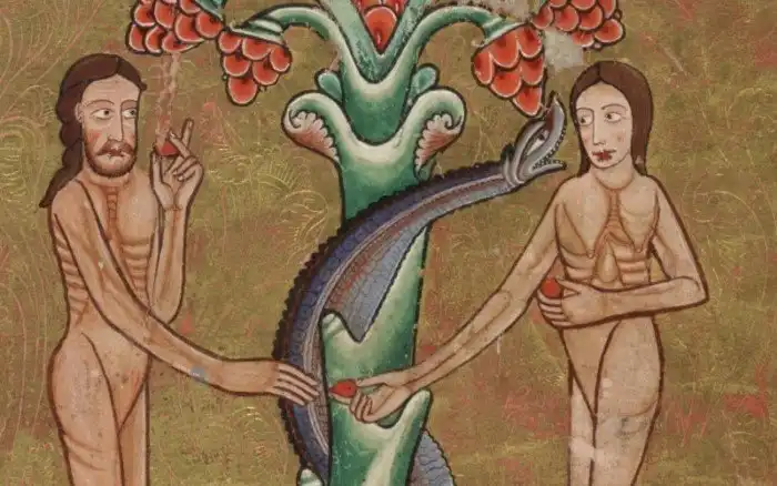 Самые распространенные мифы о змеях