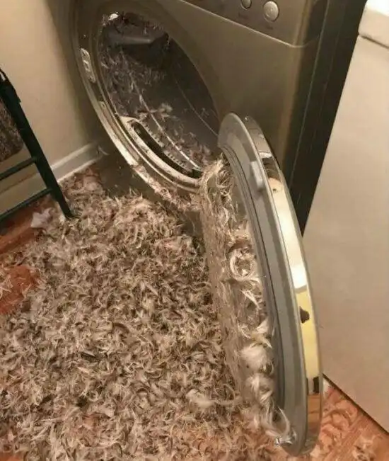 Когда стирка пошла не по плану