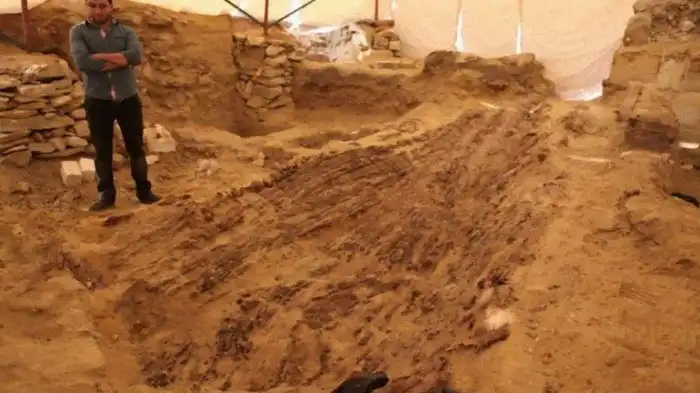 Находки археологов из пустыни, которые озадачили ученых