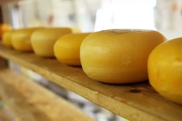 История сыра от неолита до наших дней