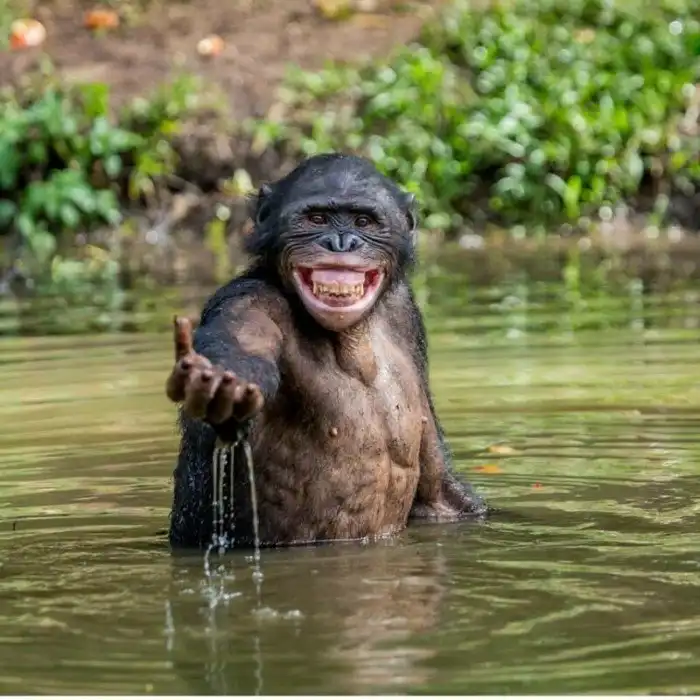 25 фотофактов: кто главный на этой планете