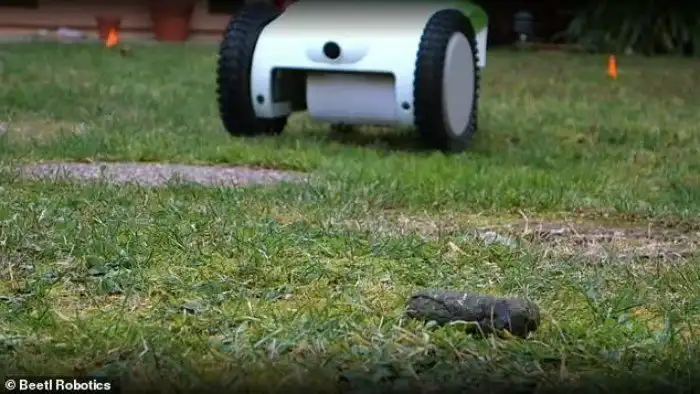 Робота научили убирать собачьи экскременты