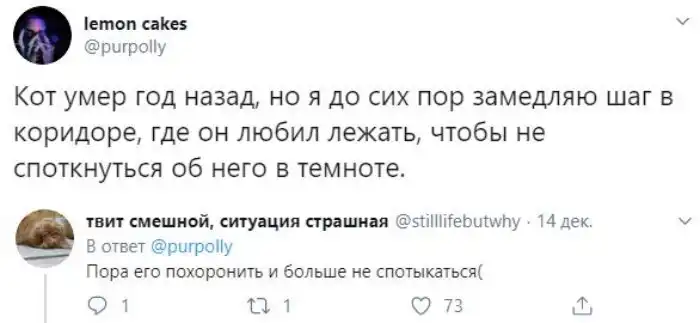 20+ улетных комментариев, в которых пользователи превзошли сами себя