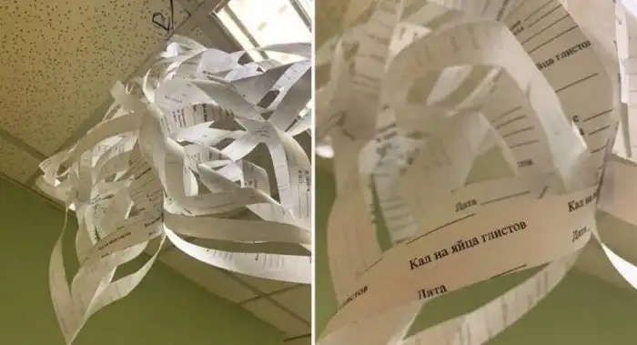 15 неоднозначных фото из серии "Разрыв шаблона"