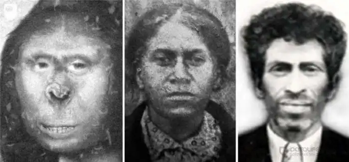 Существовали ли когда-нибудь йети?