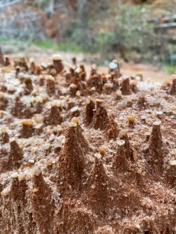 Подборка из рубрики "удивительное рядом"