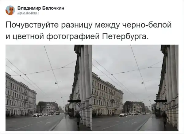 Пятьдесят отнеков серого: в Твиттере не могут найти разницу межу цветным и ч/б фото Петербурга