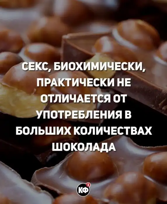 Краткие факты