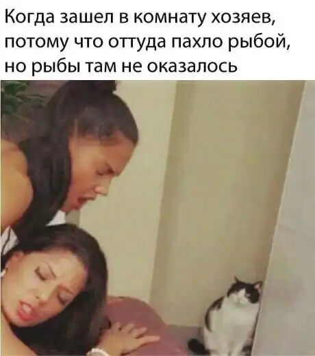 Что-то с чем-то