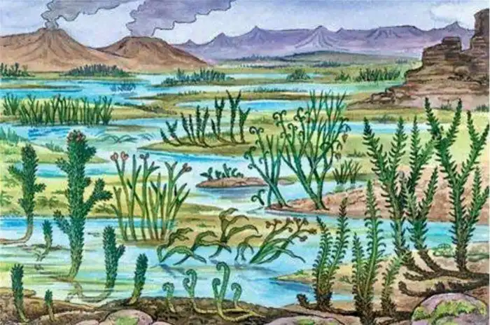 Как появилось первое дерево