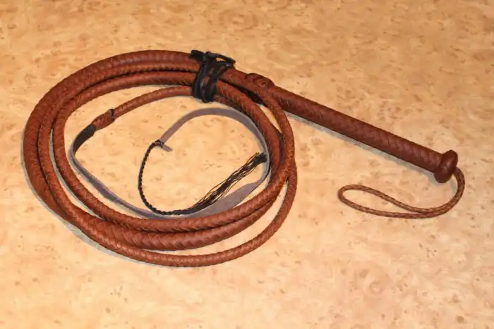 Почему кнут издает щелчок