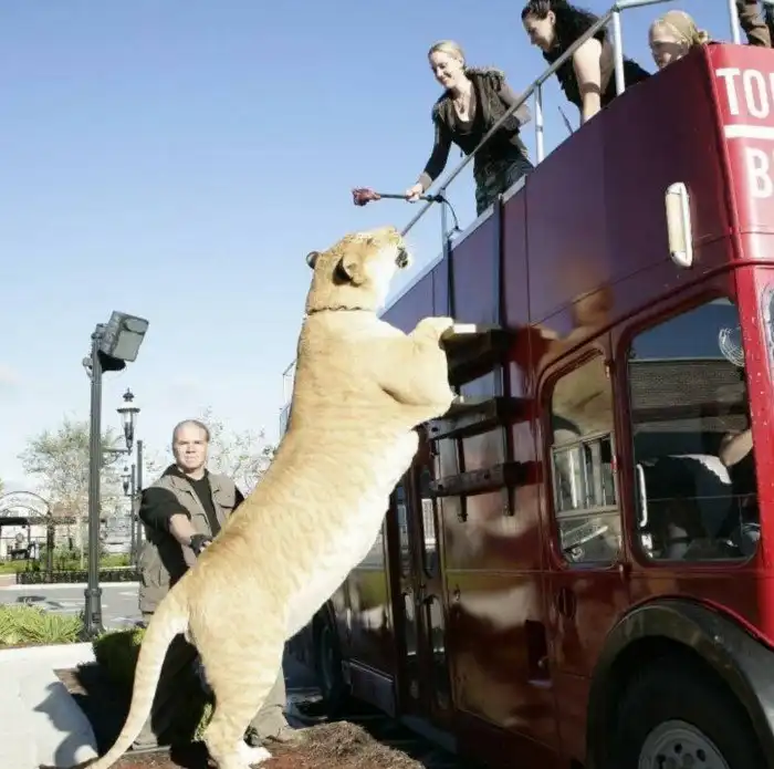 Симпатрия: Новые животные после спаривания разных видов