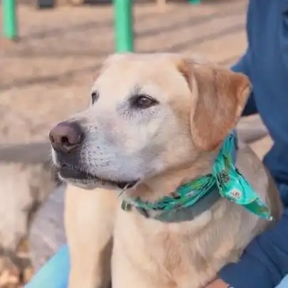 Бизнесмен Джефф Гебхарт заплатит 1,5 млн тому, кто найдет ему девушку