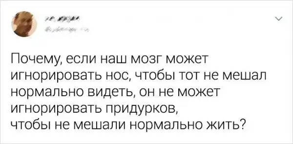 Забавные твиты про мелочи жизни