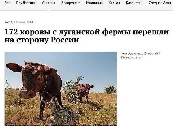 Нестандартный юмор :)