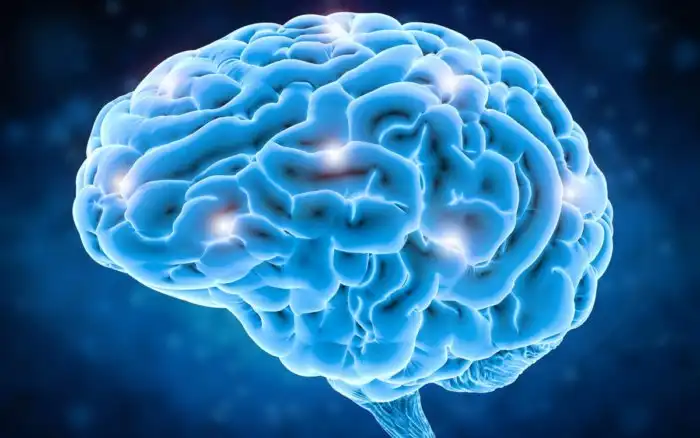 5 факторов, которые ускоряют старение мозга