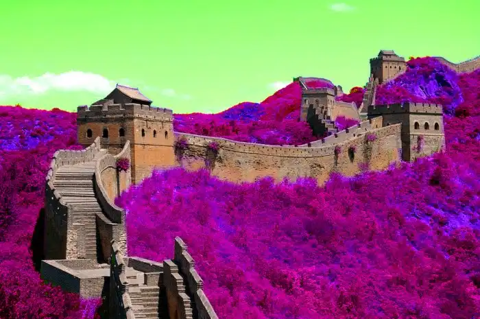 Почему Китай и Япония не колонизировали Сибирь первыми