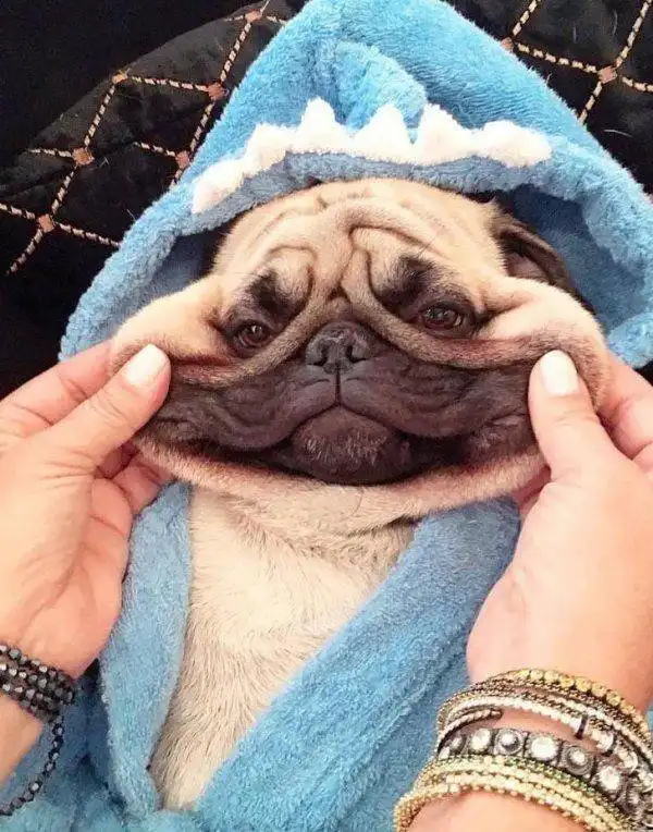 Подборка интересных и веселых картинок